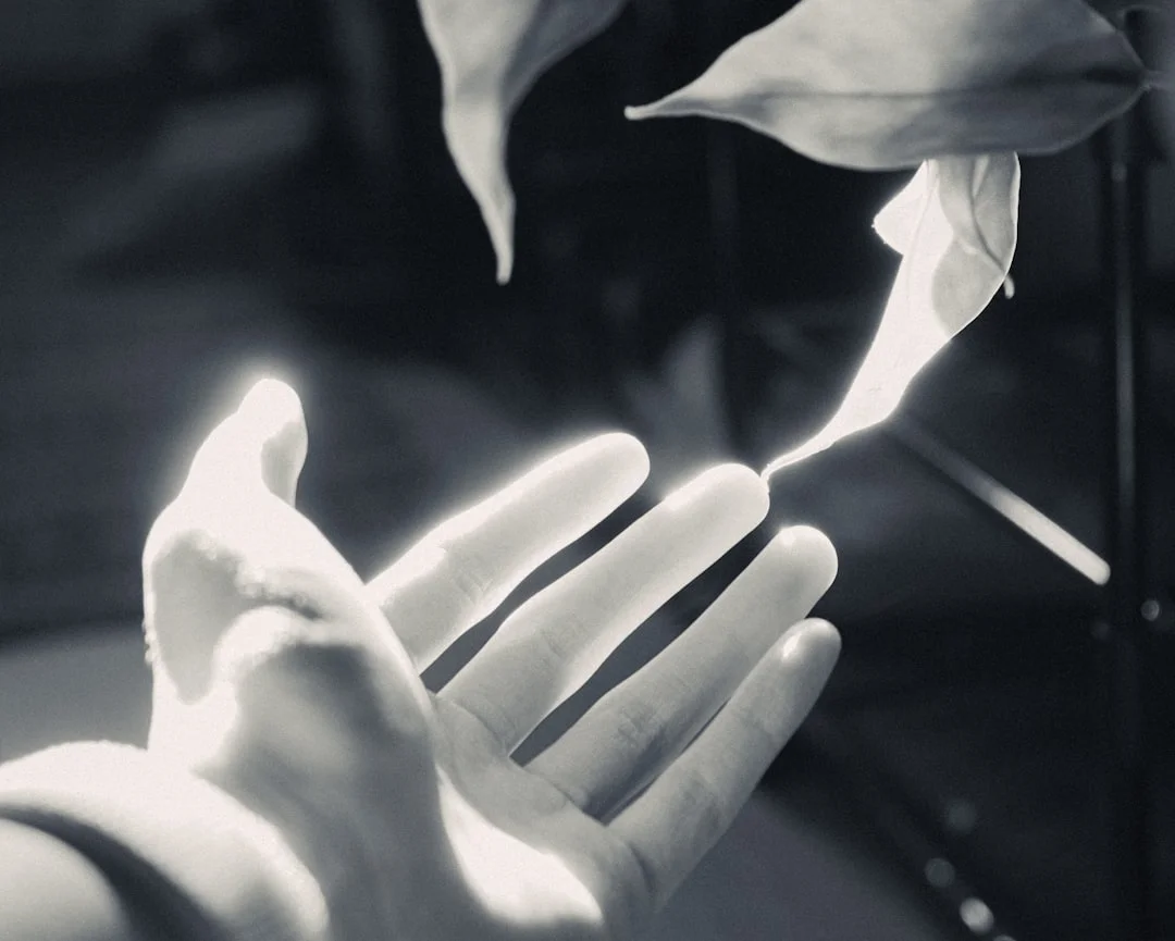 A hand reaching towards glowing leaves